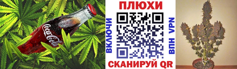 Canna-Cookies конопля  Купить закладки  Болгар 