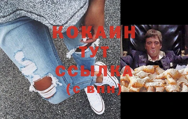 гашик Аркадак