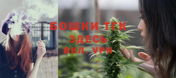 гашик Аркадак