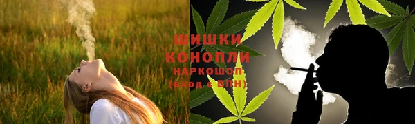 гашик Аркадак