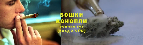 гашик Аркадак
