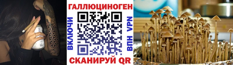 Галлюциногенные грибы ЛСД  Купить закладки  Болгар 